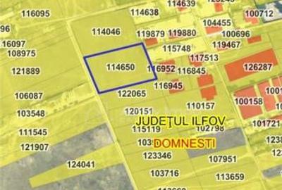 Domnesti - teren intravilan arabil - concesiune - 10.000 Domnesti - teren intravilan arabil - concesiune - 10.000 - 1