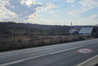 Teren de 5400 mp, în Miroslava - 4