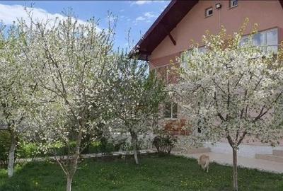 Casă cu 5 camere cu Teren 1700 Mp în Siliștea Snagovului - 1
