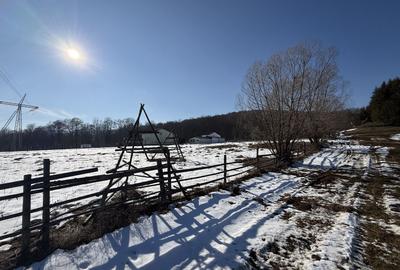 Teren Construcții intravilan de 4521 mp, în Valea Doftanei - 9