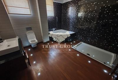 Penthouse 3 camere Herastrau | Terasa | Loc de parcare - 14