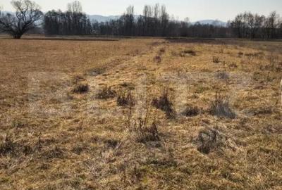 Teren de 4000 mp, în Central