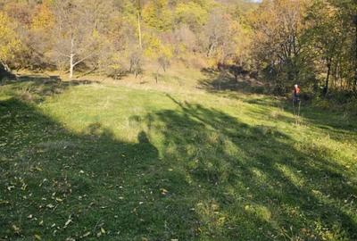 Teren de 949 mp, în Sălătrucel - 7