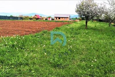 Vanzare teren intravilan, Sanpetru, Livada - 15