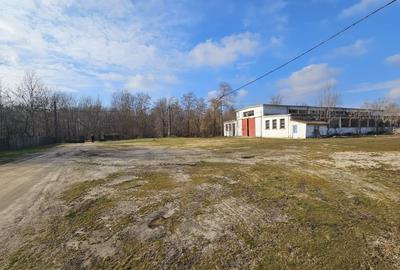 Spațiu industrial, de 3,400 mp, în Tătărăștii de Jos - 1