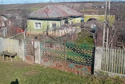 Casă cu 4 camere în Exterior Vest