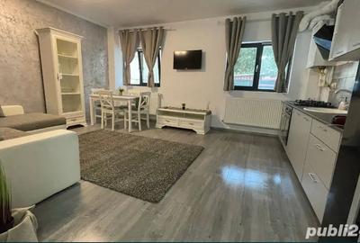 Apartament 1 camera, Iasi Miroslava