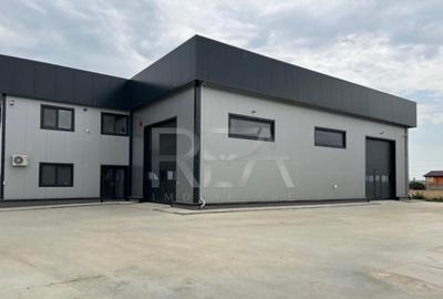 Hala de inchiriat in Domnesti / Centura - 2