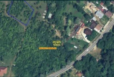 Teren de 2300 mp, în Păușești