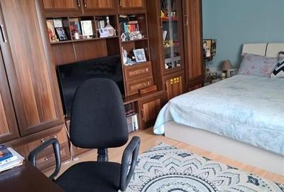 Ocazie Apartament 1 camera Nicolina - Lidl - 4