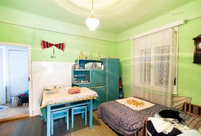 RECO Casa cu teren 3036mp, Bors - 7