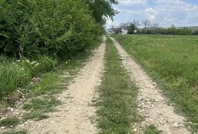 Teren de 1600 mp, în Dragomirești - 2