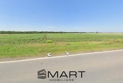 Teren agricol extravilan de 11900 mp, în Scrioaștea - 2