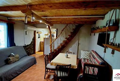 Cabana de Zona Lunca Bradului - 8