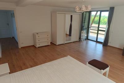 Casă individuală cu 4 camere cu Canalizare în Ciofliceni - 17