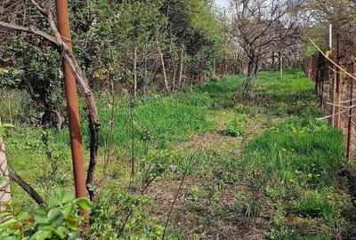 Casă cu 2 camere cu Teren 330 Mp în Lunei - 4