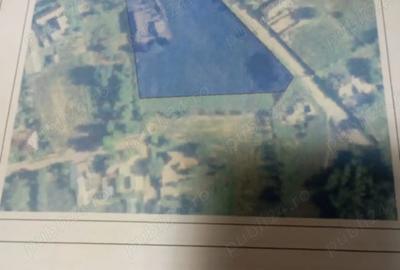 Casa de vanzare in comuna Mihai Bravu, jude?ul Tulcea Casa de vanzare in comuna Mihai Bravu, jude?ul Tulcea - 2