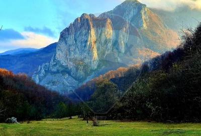 Cabana de vanzare in Valea Manastirii, Alba - 16