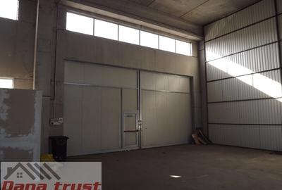 Spațiu industrial, în Lugojului - 7