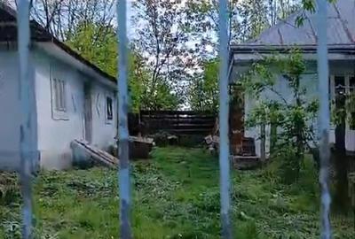 Casă cu 2 camere cu Teren 1500 Mp în Miorcani - 3