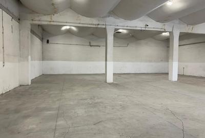 Zona Industriala, hala ideal DEPOZITARE 440 mp., platforma betonata . - 9