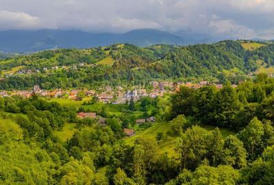 COMISION 0% Teren 11,381 mp Moieciu de Jos / Oportunitate... - 7