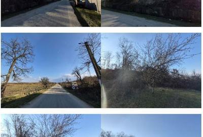 Teren de 1931 mp, în Nădrag - 4