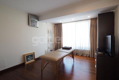 Penthouse cu 5 camere decomandat, mobilat în Herăstrău - 17