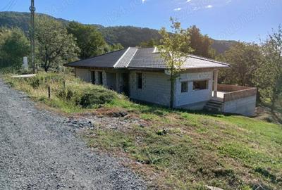 Casa la rosu in cicarlau - 8