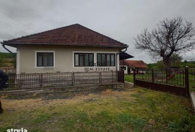 Casă cu 4 camere cu Teren 2651 Mp în Baia de Criș - 12
