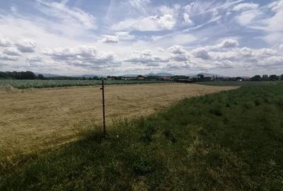 Teren Construcții intravilan de 2750 mp, în Podu Oltului - 3