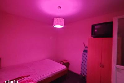 Apartament cu 2 camere în Calea Aradului - 2