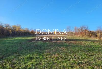 Teren de 11939 mp, în Bălănești - 6