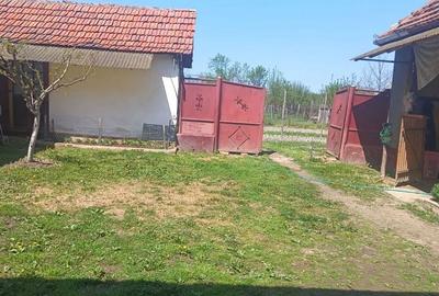 Casă cu 3 camere cu Teren 1420 Mp în Central - 13