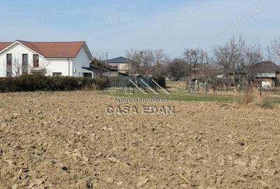 Casa in Filipesti de Targ,--70.000e - 5