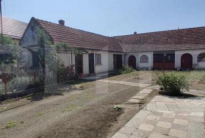 Casa mare cu gospodarie completa Belin?, jude?ul Timi? teren 4.900 mp - 5