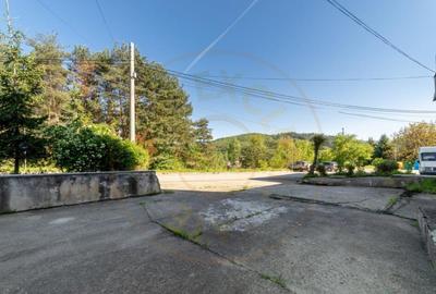 Inchiriere spatiu de depozitare 247 mp, curte 158 mp, Campul - 18