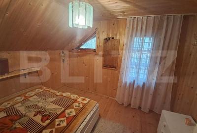 Cabana in colibita - 5