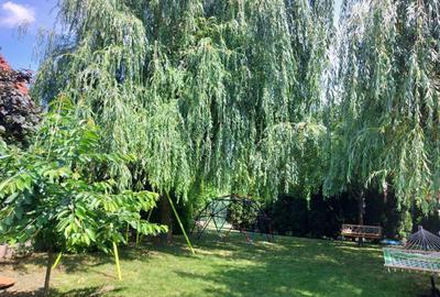 Casa individuala, cu garaj, teren 917 mp, in Andrei Muresanu - 12