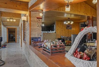 Comision 0% 2 case Vila + Spatiu Comercial + Curte Proprie - 28