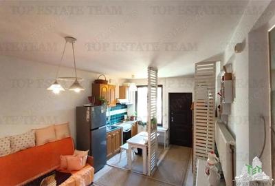 Apartament 2 camere zona Titan, curte proprie 37mp in vila - 10