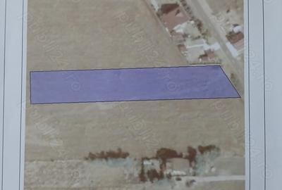 Teren de 4332 mp, în Gruiu - 2