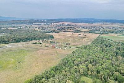 Teren de 22700 mp, în Hărman