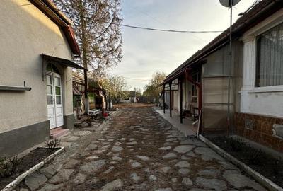 Casa 2 corpuri Jamu Mare, Timis - 4