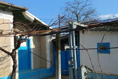 Vand casa com. Nufaru - 10