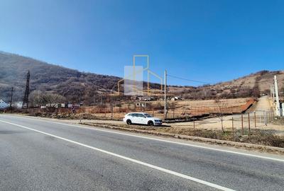 Teren Intravilan Orsova-Valea Cernei- Comision 0% - 6