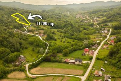 Teren de 11700 mp, în Valea - 4