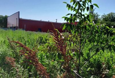 Movilita (IL)-teren de inch. 1800 mp stradal, 30 ml desch... - 14