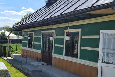 Casă cu Teren 1104 Mp în Poienari - 7
