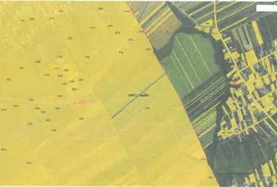 Teren extravilan Pietroasele, ID: R2586802 - 2